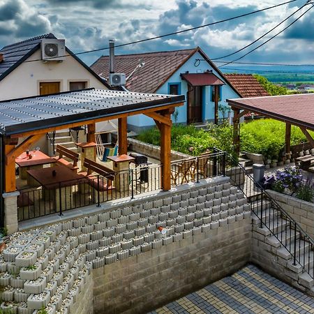 Vinoza - Ubytovani A Vinny Sklep Velke Bilovice Rulandova エクステリア 写真