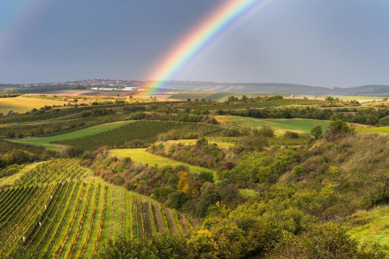 Vinoza - Ubytovani A Vinny Sklep Velke Bilovice Rulandova エクステリア 写真