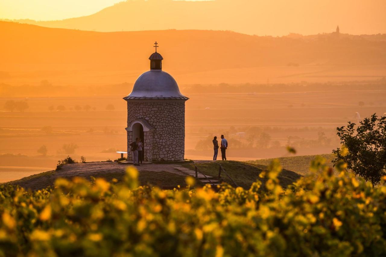 Vinoza - Ubytovani A Vinny Sklep Velke Bilovice Rulandova エクステリア 写真