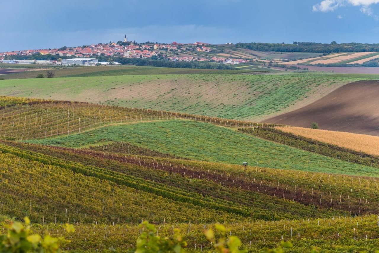 Vinoza - Ubytovani A Vinny Sklep Velke Bilovice Rulandova エクステリア 写真