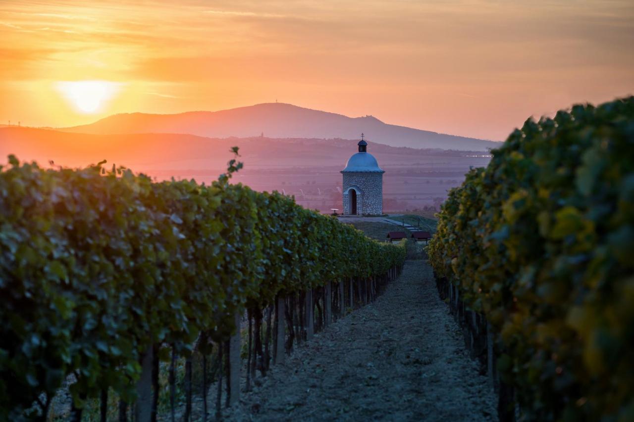 Vinoza - Ubytovani A Vinny Sklep Velke Bilovice Rulandova エクステリア 写真